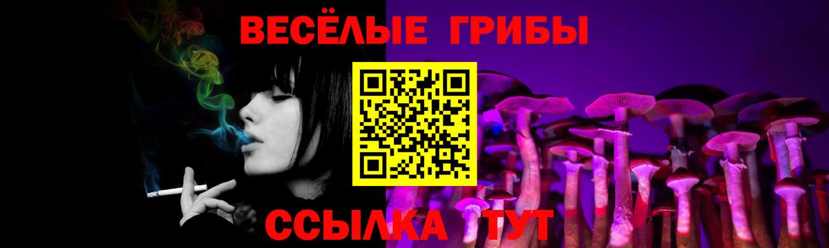 Санкт-Петербург  Псилоцибиновые грибы мухоморы  хочу   Вход с VPN 